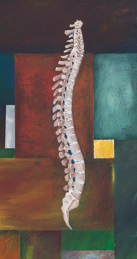 spinal-column-sara-young